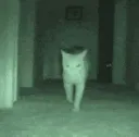 SCspooky